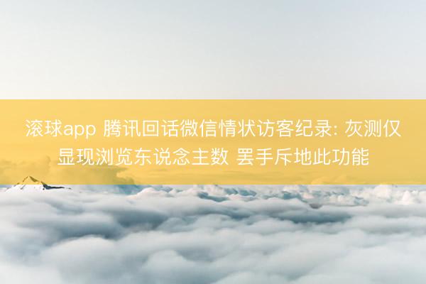 滚球app 腾讯回话微信情状访客纪录: 灰测仅显现浏览东说念主数 罢手斥地此功能
