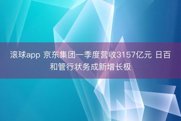 滚球app 京东集团一季度营收3157亿元 日百和管行状务成新增长极