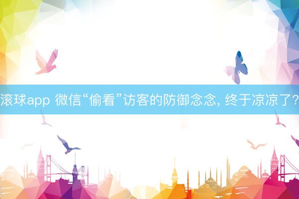 滚球app 微信“偷看”访客的防御念念， 终于凉凉了?