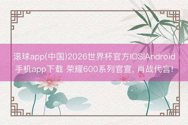 滚球app(中国)2026世界杯官方IOS|Android手机app下载 荣耀600系列官宣， 肖战代言!