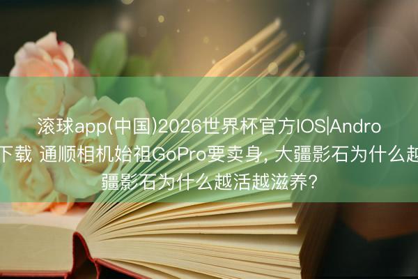 滚球app(中国)2026世界杯官方IOS|Android手机app下载 通顺相机始祖GoPro要卖身， 大疆影石为什么越活越滋养?