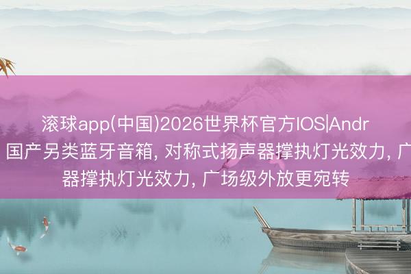 滚球app(中国)2026世界杯官方IOS|Android手机app下载 国产另类蓝牙音箱， 对称式扬声器撑执灯光效力， 广场级外放更宛转