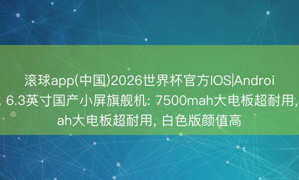 滚球app(中国)2026世界杯官方IOS|Android手机app下载 6.3英寸国产小屏旗舰机: 7500mah大电板超耐用， 白色版颜值高