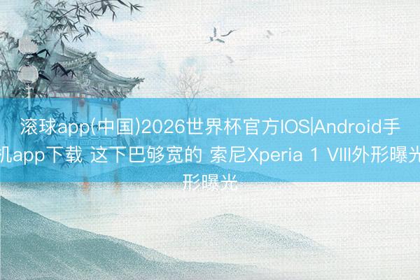 滚球app(中国)2026世界杯官方IOS|Android手机app下载 这下巴够宽的 索尼Xperia 1 VIII外形曝光