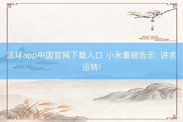 滚球app中国官网下载入口 小米重磅告示: 讲求运转!