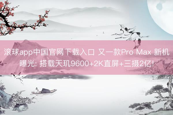 滚球app中国官网下载入口 又一款Pro Max 新机曝光: 搭载天玑9600+2K直屏+三摄2亿!
