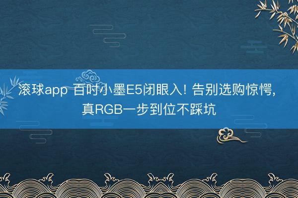 滚球app 百吋小墨E5闭眼入! 告别选购惊愕， 真RGB一步到位不踩坑