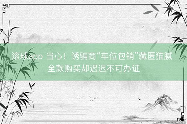 滚球app 当心！诱骗商“车位包销”藏匿猫腻 全款购买却迟迟不可办证