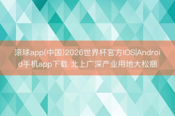 滚球app(中国)2026世界杯官方IOS|Android手机app下载 北上广深产业用地大松捆