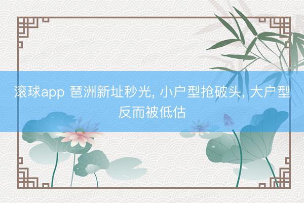 滚球app 琶洲新址秒光， 小户型抢破头， 大户型反而被低估