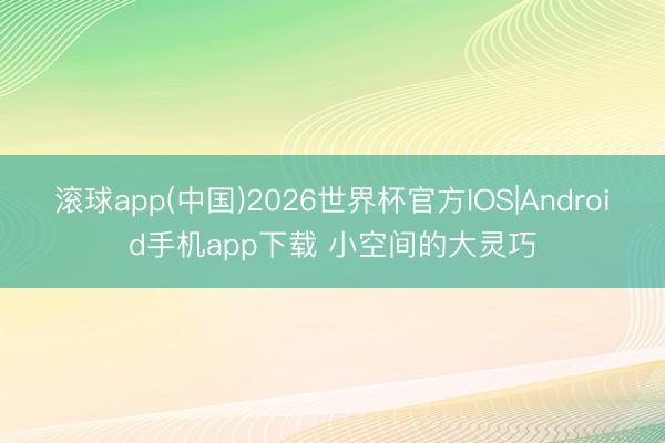 滚球app(中国)2026世界杯官方IOS|Android手机app下载 小空间的大灵巧