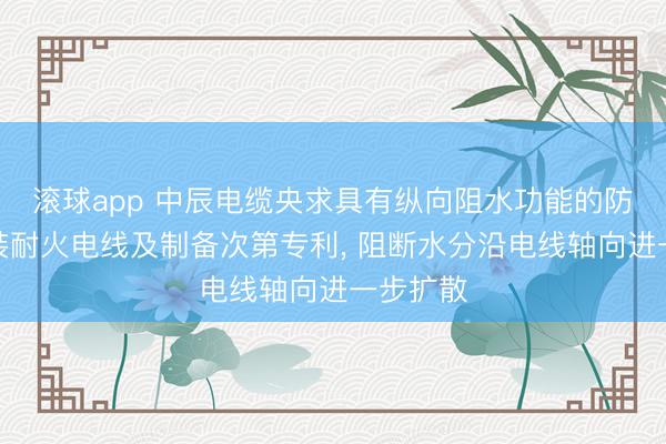 滚球app 中辰电缆央求具有纵向阻水功能的防潮型家装耐火电线及制备次第专利， 阻断水分沿电线轴向进一步扩散