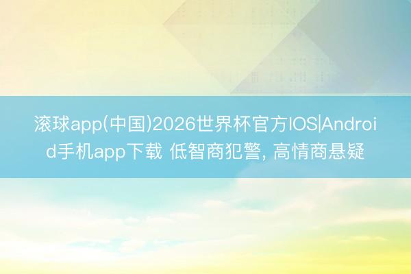 滚球app(中国)2026世界杯官方IOS|Android手机app下载 低智商犯警， 高情商悬疑