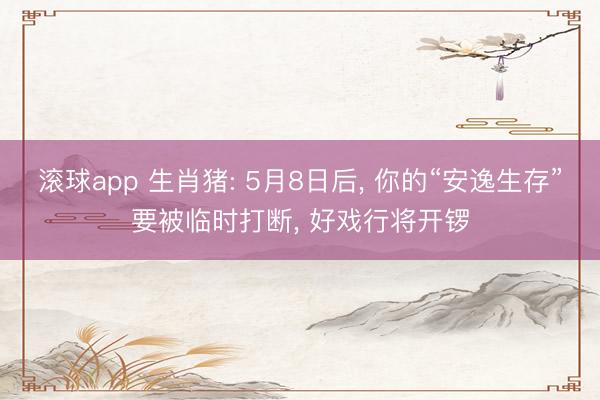 滚球app 生肖猪: 5月8日后， 你的“安逸生存”要被临时打断， 好戏行将开锣