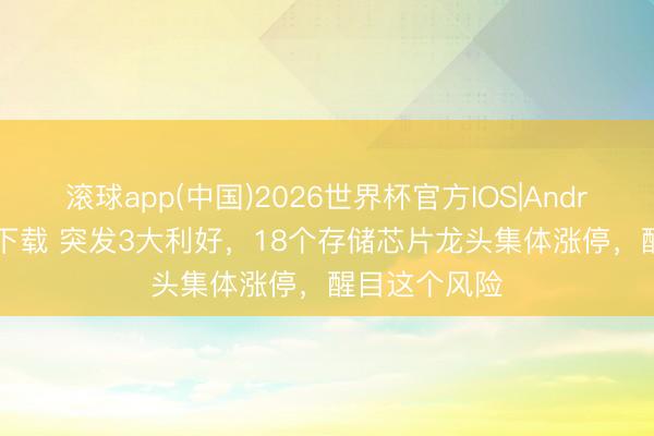 滚球app(中国)2026世界杯官方IOS|Android手机app下载 突发3大利好，18个存储芯片龙头集体涨停，醒目这个风险