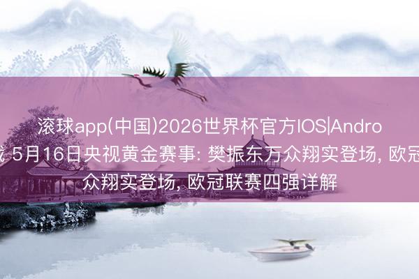 滚球app(中国)2026世界杯官方IOS|An