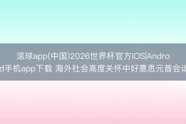 滚球app(中国)2026世界杯官方IOS|Android手机app下载 海外社会高度关怀中好意思元首会谈