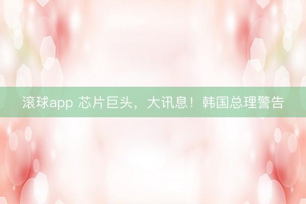 滚球app 芯片巨头，大讯息！韩国总理警告
