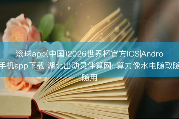 滚球app(中国)2026世界杯官方IOS|Android手机app下载 湖北出动灵伴算网: 算力像水电随取随用