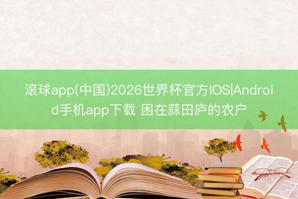 滚球app(中国)2026世界杯官方IOS|Android手机app下载 困在蒜田庐的农户