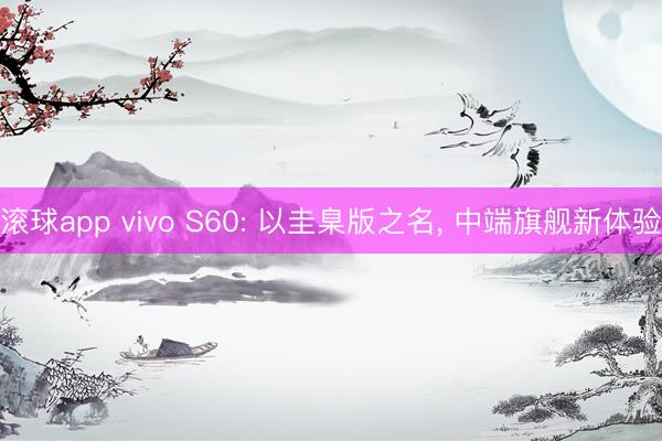 滚球app vivo S60: 以圭臬版之名， 中端旗舰新体验