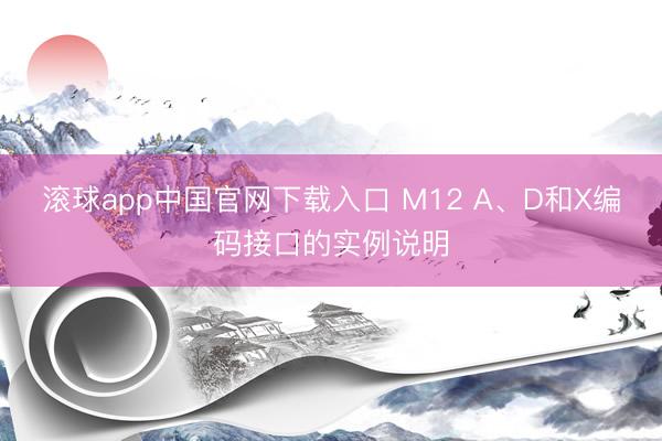 滚球app中国官网下载入口 M12 A、D和X编码接口的实例说明