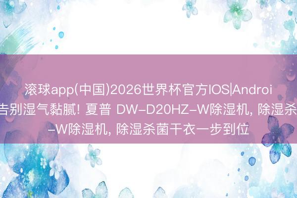 滚球app(中国)2026世界杯官方IOS|Android手机app下载 告别湿气黏腻! 夏普 DW-D20HZ-W除湿机, 除湿杀菌干衣一步到位