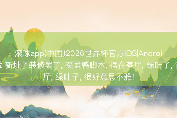 滚球app(中国)2026世界杯官方IOS|Android手机app下载 新址子装修罢了， 买盆鸭脚木， 摆在客厅， 绿叶子， 很好意思不雅!