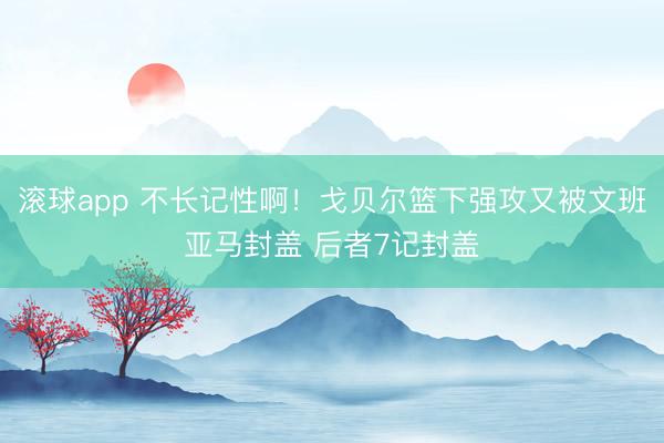 滚球app 不长记性啊！戈贝尔篮下强攻又被文班亚马封盖 后者7记封盖