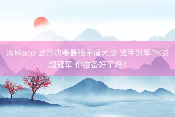 滚球app 欧冠决赛最强矛盾大战 法甲冠军PK英超冠军 你准备好了吗?