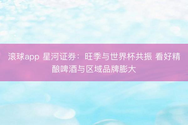 滚球app 星河证券：旺季与世界杯共振 看好精酿啤酒与区域品牌膨大