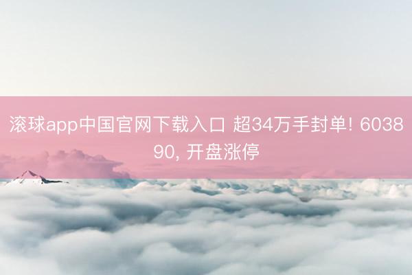 滚球app中国官网下载入口 超34万手封单! 603890， 开盘涨停