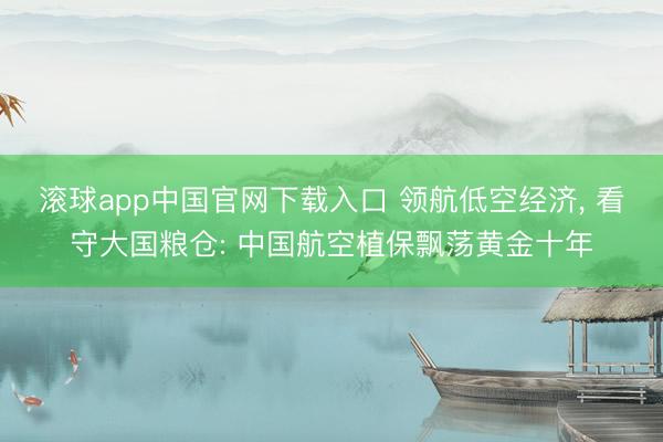 滚球app中国官网下载入口 领航低空经济， 看守大国粮仓: 中国航空植保飘荡黄金十年