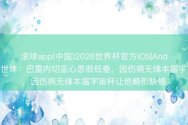 滚球app(中国)2026世界杯官方IOS|Android手机app下载 世体：巴雷内切亚心思很低垂，因伤病无缘本届宇宙杯让他畸形缺憾