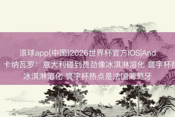 滚球app(中国)2026世界杯官方IOS|Android手机app下载 卡纳瓦罗：意大利碰到费劲像冰淇淋溶化 寰宇杯热点是法国葡萄牙