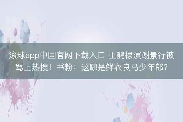 滚球app中国官网下载入口 王鹤棣演谢景行被骂上热搜！书粉：这哪是鲜衣良马少年郎？