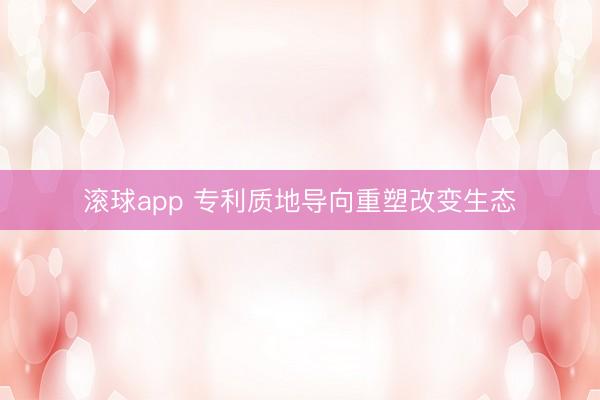滚球app 专利质地导向重塑改变生态