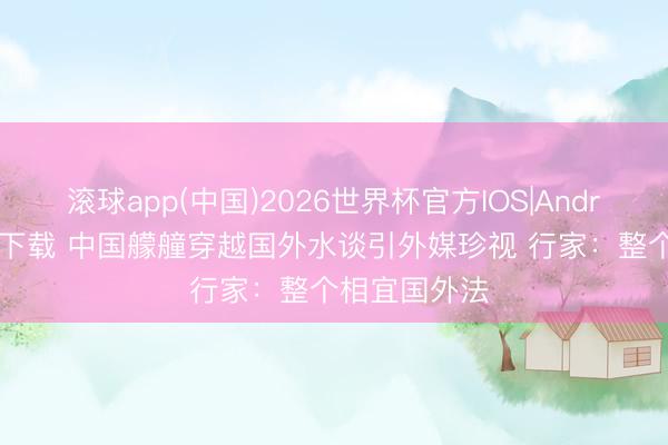 滚球app(中国)2026世界杯官方IOS|Android手机app下载 中国艨艟穿越国外水谈引外媒珍视 行家：整个相宜国外法