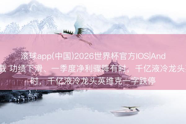 滚球app(中国)2026世界杯官方IOS|Android手机app下载 功绩下滑、一季度净利骤降有时，千亿液冷龙头英维克一字跌停