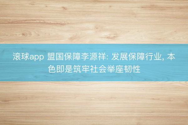 滚球app 盟国保障李源祥: 发展保障行业， 本色即是筑牢社会举座韧性