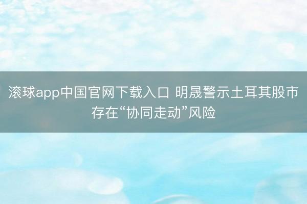 滚球app中国官网下载入口 明晟警示土耳其股市存在“协同走动”风险