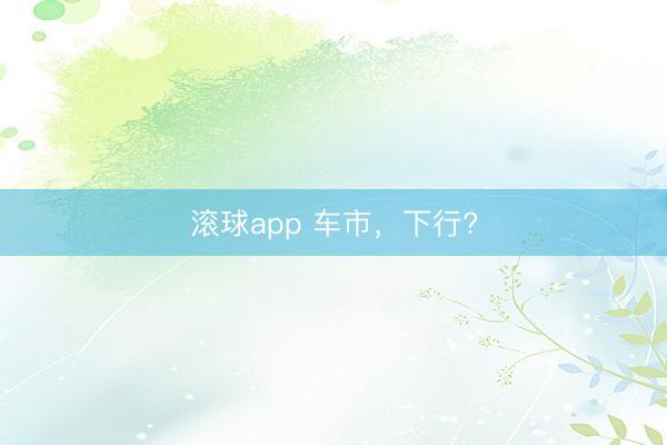 滚球app 车市，下行?